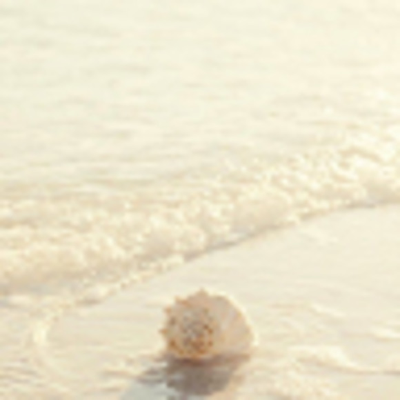 Meet your Posher, Hannah - Picture 1 of 1